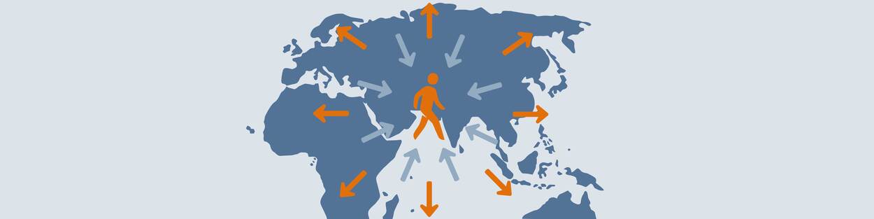 visual migration